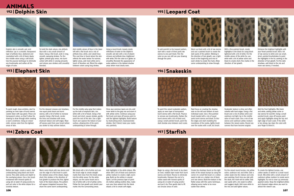 The Complete Book of Textures for Artists
